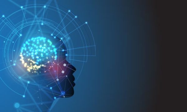 work at home virtual education illustration of the brain and the human head profile