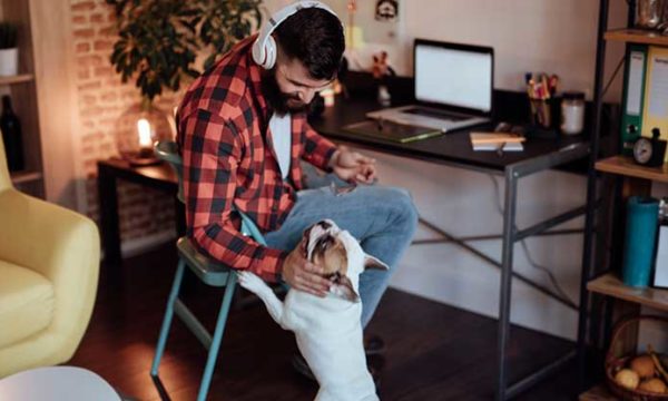man working from home playing with dog during break