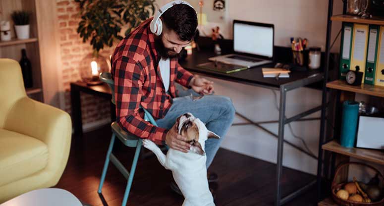 man working from home and petting his dog