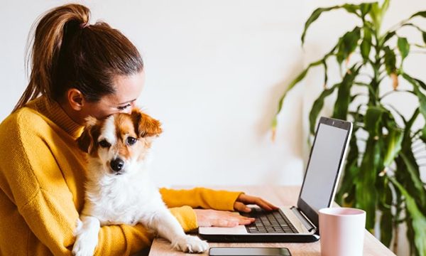 woman working from home with laptop with dog on lap
