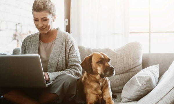 Woman working on laptop sitting at home with a dog via home office