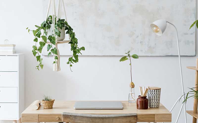 Serene, white and organic wood work-from-home desk decorated in plants, office supplies, and an industrial lamp