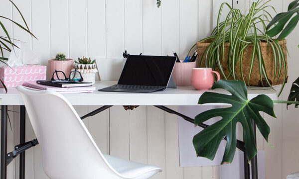 At home office desk with a laptop on it and surrounded by plants